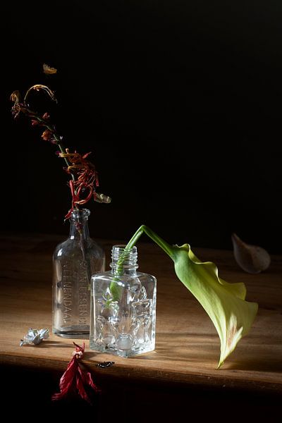 Nature morte 'Nature morte'. par Willy Sengers