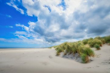 Ameland strand van Niels Barto