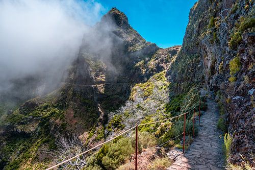 Way to the clouds