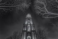 Tour Dom Utrecht depuis le Domplein le soir - noir et blanc - 1 par Tux Photography Aperçu