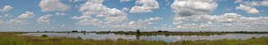 Panorama des Naturschutzgebietes Tiengemeten mit schönen Wolken