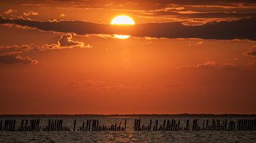 Coucher de soleil sur la mer des Wadden avec une belle rangée de poteaux au premier plan.