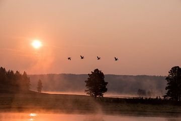 Yellowstone River van Jan-Thijs Menger