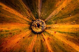 UFO: Unidentified Flora object by HvNunenfoto