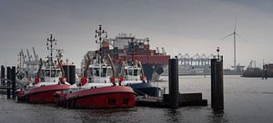 Boats in the harbor by Jonas Weinitschke