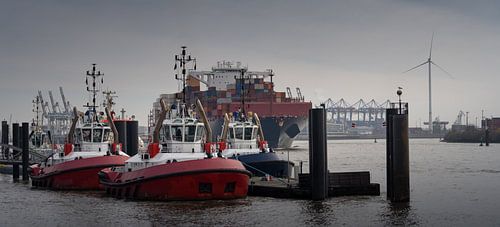 Schlepper und Containerschiff im Hamburger Hafen von Jonas Weinitschke