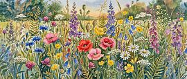 A summer panorama of a meadow full of wildflowers in bloom by Studio Pieternel