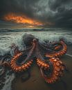 Inktvis op het strand van fernlichtsicht thumbnail