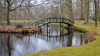 Houten bruggetje over water in een herfstig, romantisch stadspark