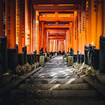 Fushimi Inari Shrine in Kyoto, Japan van Michael.Pixels