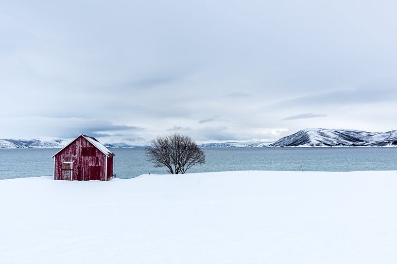Senja hiver par Ed van Loon