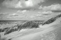 Dünen- und Meereslandschaft von Terschelling