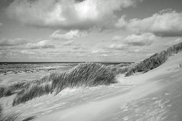 Paysage de dunes et de mer de Terschelling sur Helga Kuiper