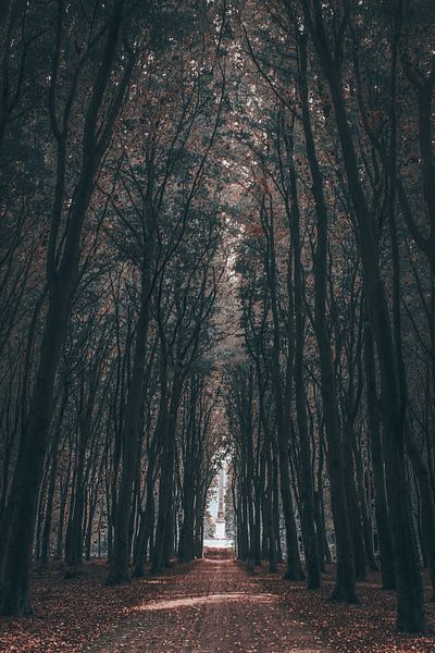 Long walks by Kelly Sabrina