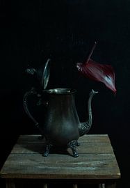 Fine Art Kaffeekanne von Petra den Tenter