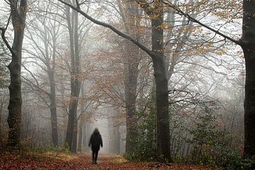 Mistig bos in de herfst, welke weg loop jij? van Esther Wagensveld