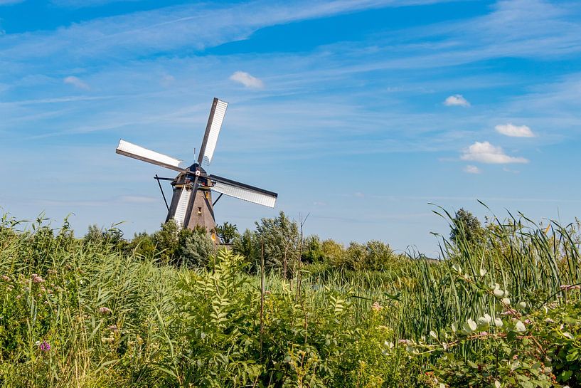Kinderdijk par Maurice Meerten
