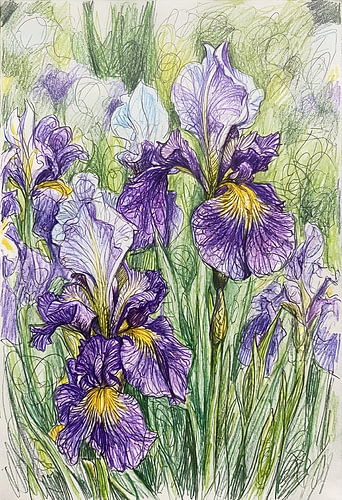 IRIS SCRIBBLE ART POTLOODTECHNIEK - METALEN POSTER