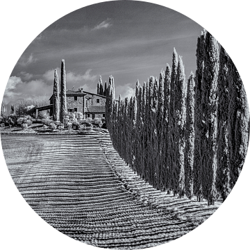 Poggio Covili - Toscane - 5 - infrarood zwartwit van Teun Ruijters
