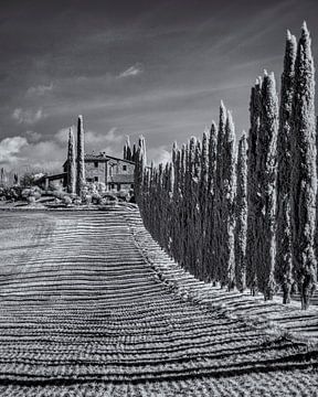 Poggio Covili - Tuscany - 5 - infrared black and white by Teun Ruijters