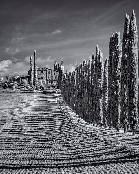 Poggio Covili - Tuscany - 5 - infrared black and white by Teun Ruijters