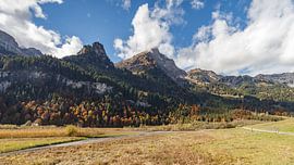 De magnifiques couleurs d'automne dans les montagnes suisses sur Menno Schaefer