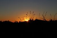 Sonnenlicht