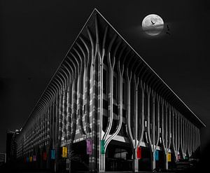 Einsamer Mond