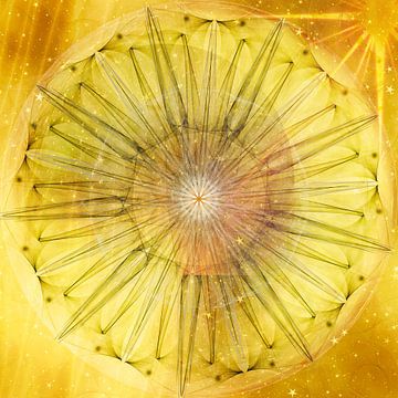 Mandala - Himmelsblume Sonne von Christine Nöhmeier