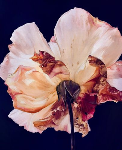 Pas seulement une rose