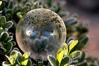 Iceball