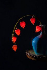 Chinese Lantern by Lydia Jacobs