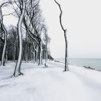 Winterlandschap