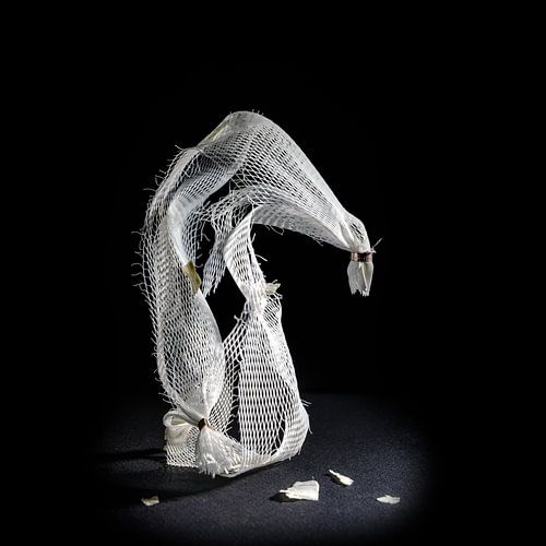 Plastic net as disposable packaging for garlic shown like a sculpture against a black background, wa