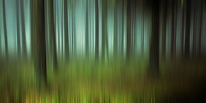 Geheimnisvoller Wald von Marion Tenbergen