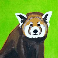 Roter Panda
