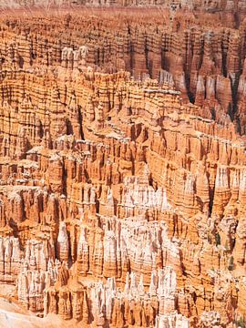 Bryce Canyon van Arnold van Wijk