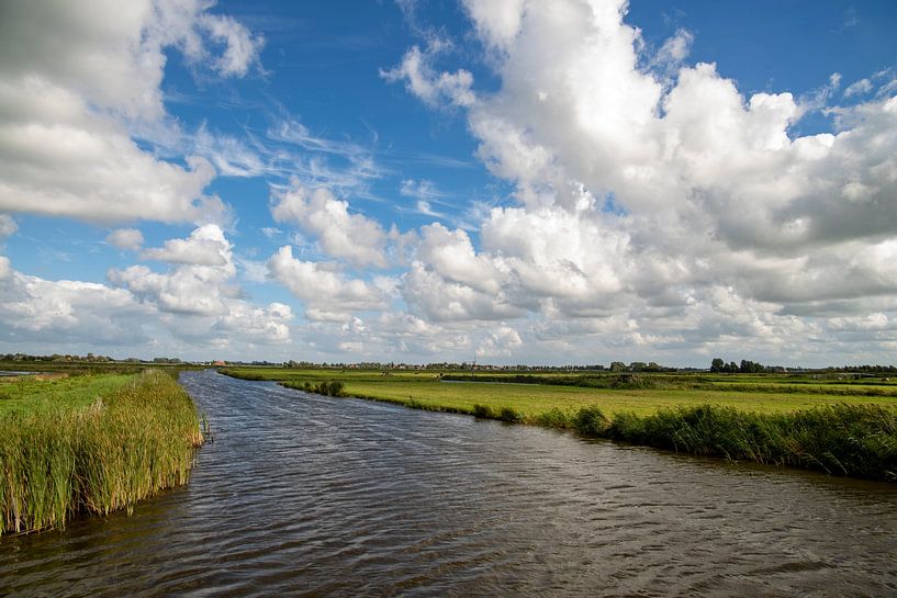 Der Eilandspolder in Nordholland von Ingrid van Sichem