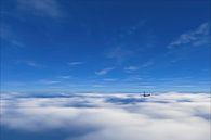 Serenity van Pieter van Roijen thumbnail
