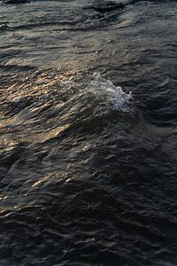 Vague dans la mer