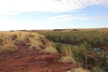 outback van australie van Nicole Habets