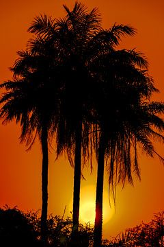 Tropical sunset by Marc Vandaele