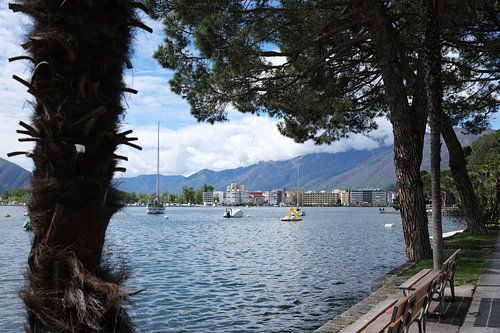 Shore view of Locarno - Between palm trees and mountains
