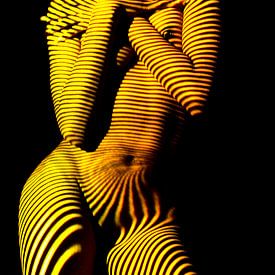 Vrouw in geel zwart van Arthur Mourits