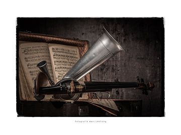 Trumpet violin by Marc Leeflang