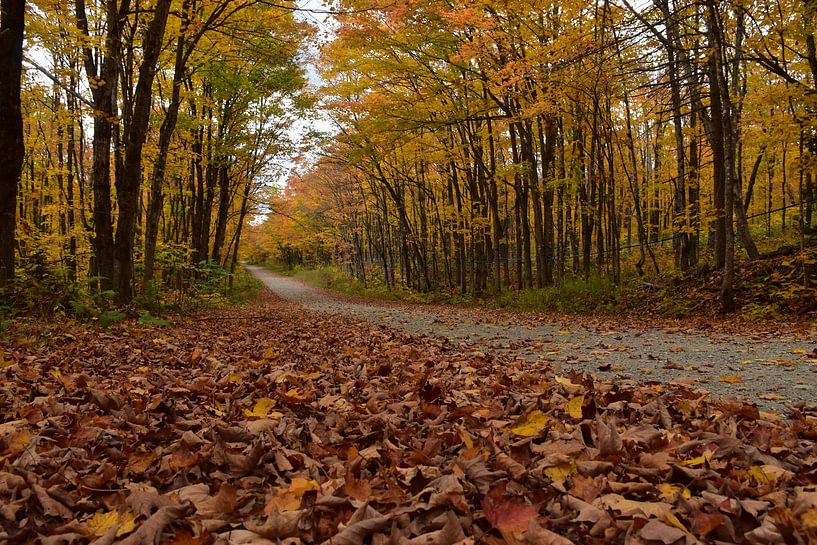 A country road in autumn by Claude Laprise
