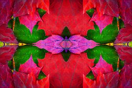 Herbstlaub 2 by Jürgen Döring