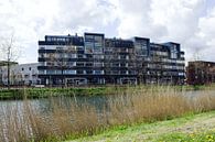 Apartments along the canal Apeldoorn by Jeroen van Esseveldt thumbnail