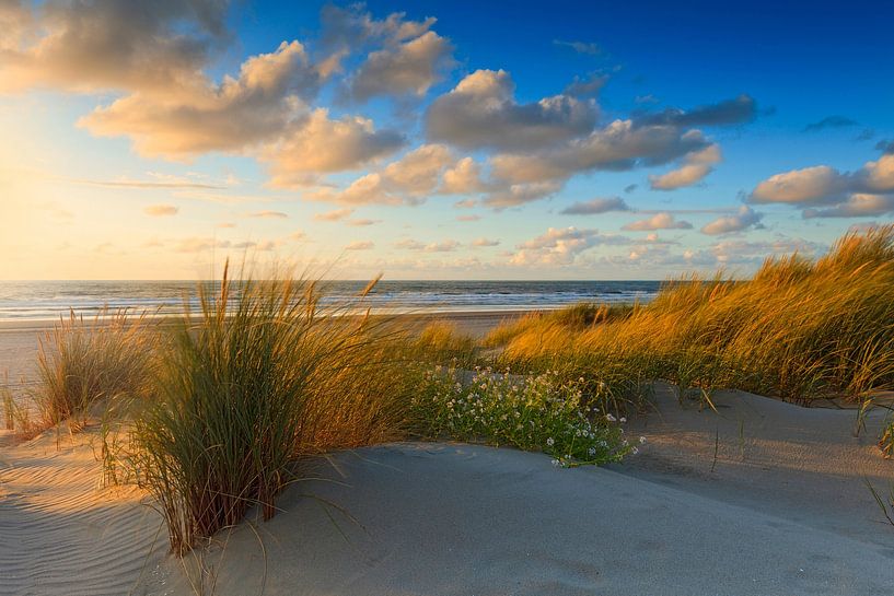 zonsondergang achter de Hollandse duinen van gaps photography
