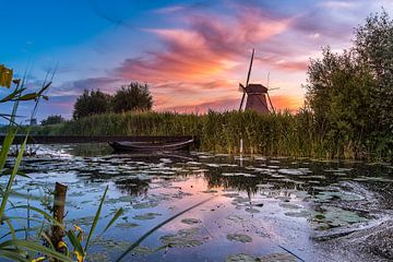 Sonnenaufgang Kinderdijk 9